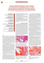Роль иммунной системы в развитии пародонтита у крыс (экспериментальное исследование)